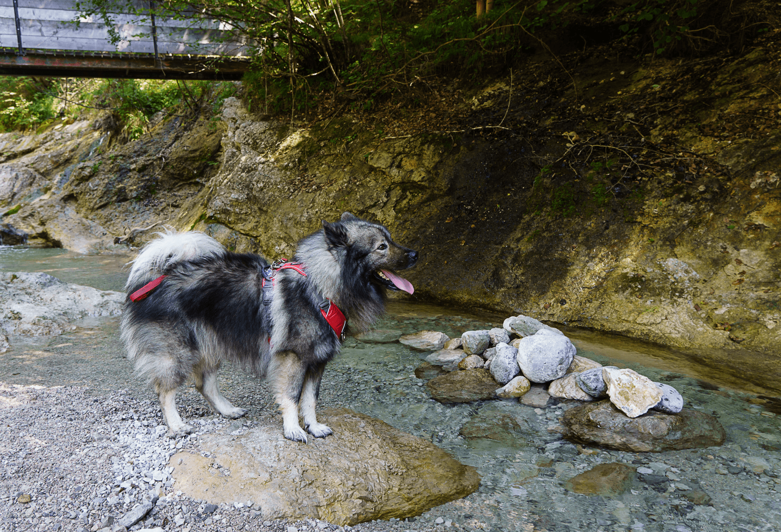 Kleine Pause im Flussbett